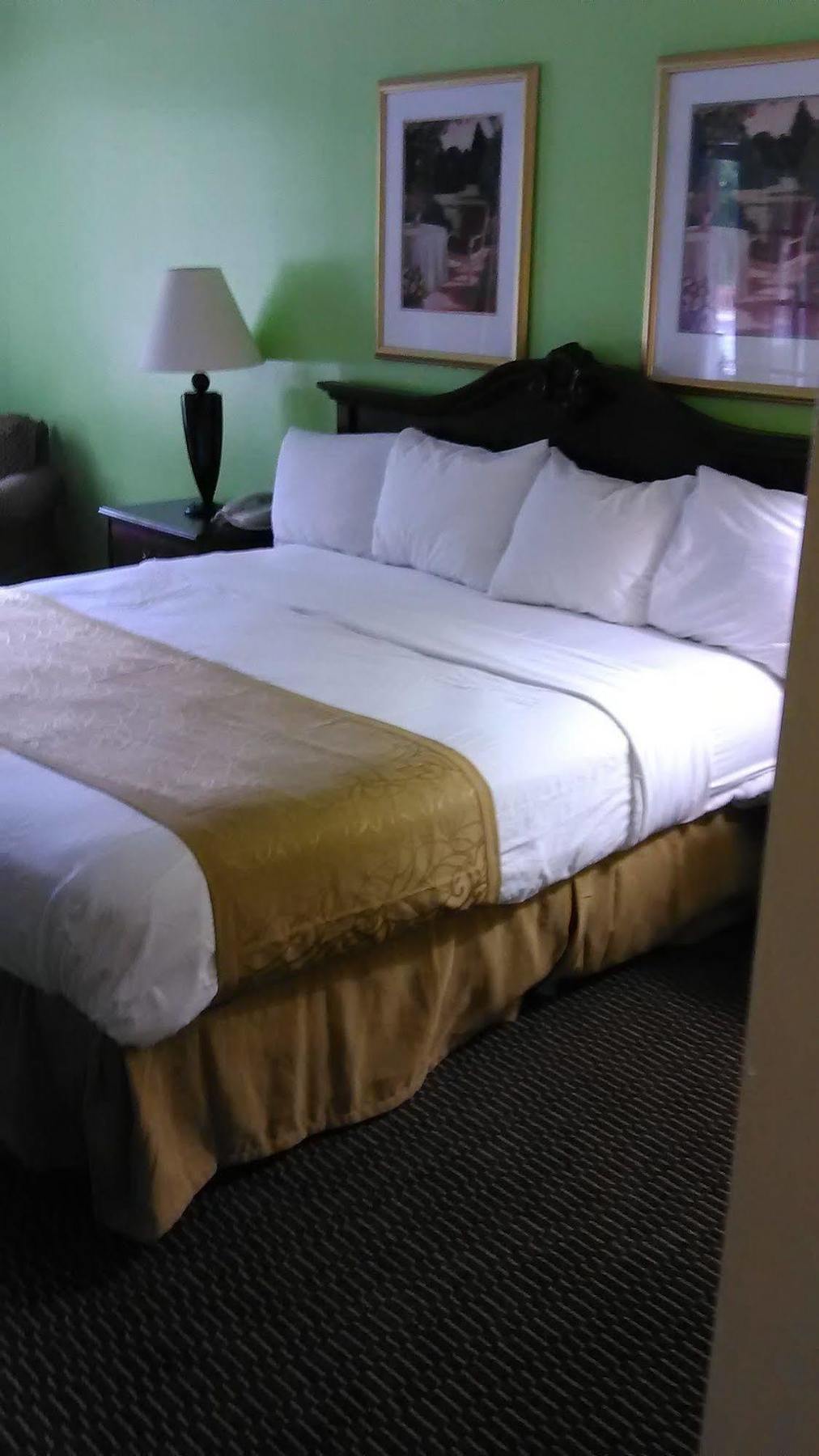 Clarion Inn & Suites 플로랑스 외부 사진