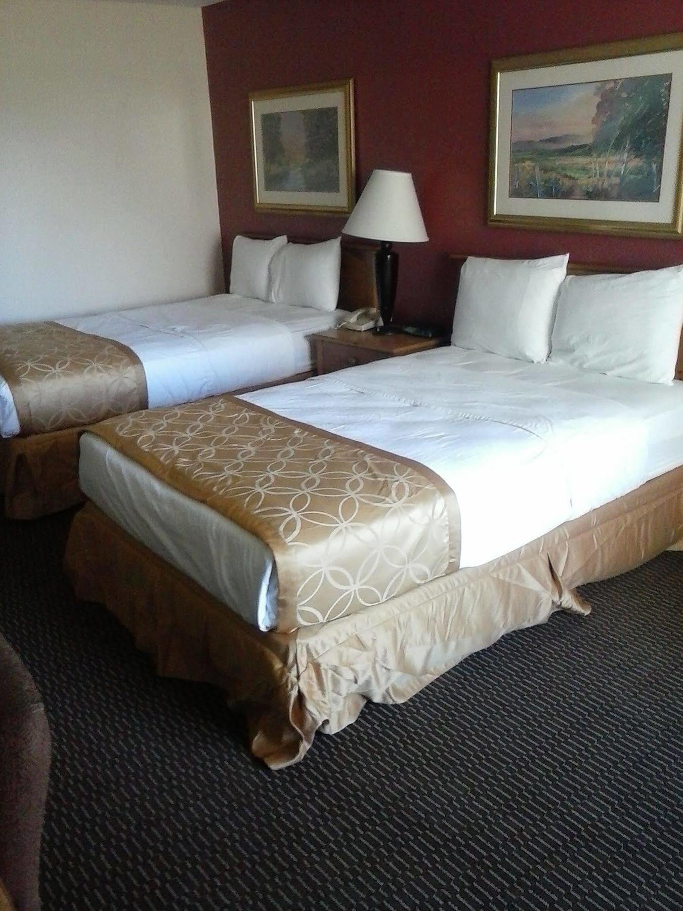 Clarion Inn & Suites 플로랑스 외부 사진